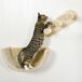 Estantes para Gato Aglomerado de Madera, Felpa, Sisal PawHut Estantes para Gato Aglomerado de Madera, Felpa, Sisal PawHut Crudo