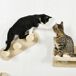Estantes para Gato Aglomerado de Madera, Felpa, Sisal PawHut Estantes para Gato Aglomerado de Madera, Felpa, Sisal PawHut Crudo