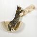 Estantes para Gato Aglomerado de Madera, Felpa, Sisal PawHut Estantes para Gato Aglomerado de Madera, Felpa, Sisal PawHut Crudo