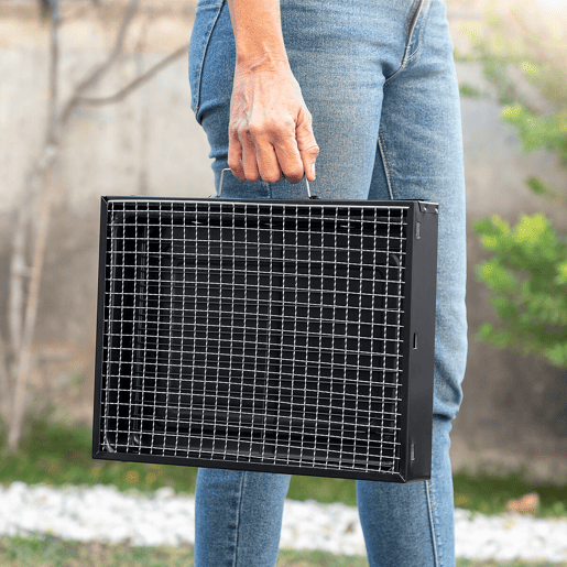 Grelhador dobrável portátil para Carvão BearBQ InnovaGoods