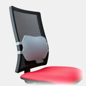 Almofada Lombar de Gel com Capa Extraível Glushion InnovaGoods