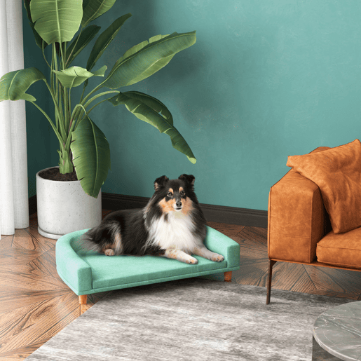 PawHut Sofá para Cães Cama Elevada para Cães Estofada com Almofada Lavável e Pés de Madeira de Pinho Carga Máxima 40 kg 98x67x25 cm Verde