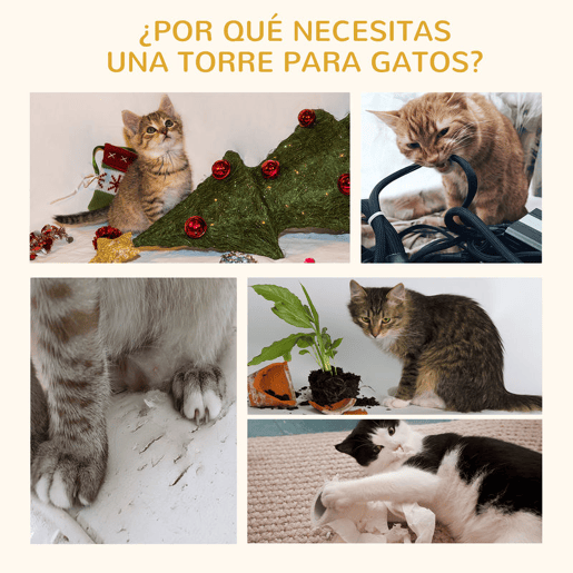 undefined undefined