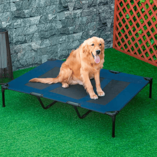 PawHut Cama para Animais de Estimação Cama Elevada para Cães Gatos com Tecido Transpirável para Dormir Relaxar Exterior Jardim Terraço 122x91x23cm Azul