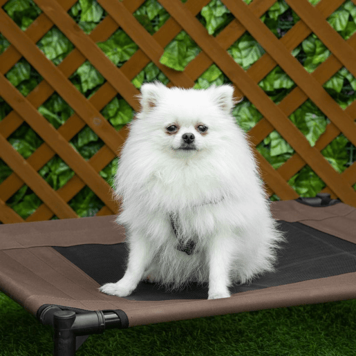 PawHut Cama para Animais de Estimação Cama Elevada para Cães Gatos Portátil Tecido Transpirável para Exterior Interior 76x61x18cm Marrom