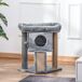 Árbol para Gatos Aglomerado de Madera, Felpa, Yute PawHut Árbol para Gatos Aglomerado de Madera, Felpa, Yute PawHut Gris