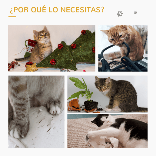 undefined undefined