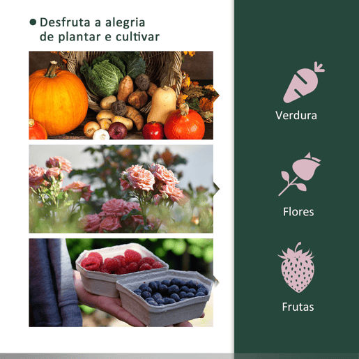 Outsunny Estufa de Jardim 200x100x80 cm para Cultivo de Plantas Sementes Estufa com Estrutura de Aço e Cobertura de Plástico Verde
