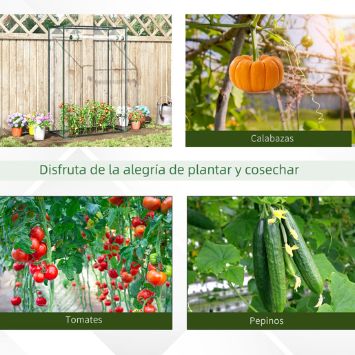 Outsunny Estufa com Porta Enrolável e Estrutura de Aço Estufa de Jardim Varanda Pátio para Cultivo de Plantas 100x50x150 cm Transparente