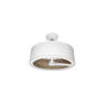 Branco Veta Branco Veta