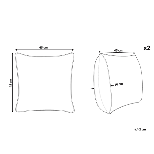 Conjunto de 2 almofadas decorativas CARPINUS Linho 45 x 45 cm Cinzento Sólido