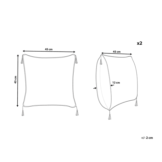 Conjunto de 2 almofadas decorativas CAMELLIA 45 x 45 cm Cinzento Padrão geométrico