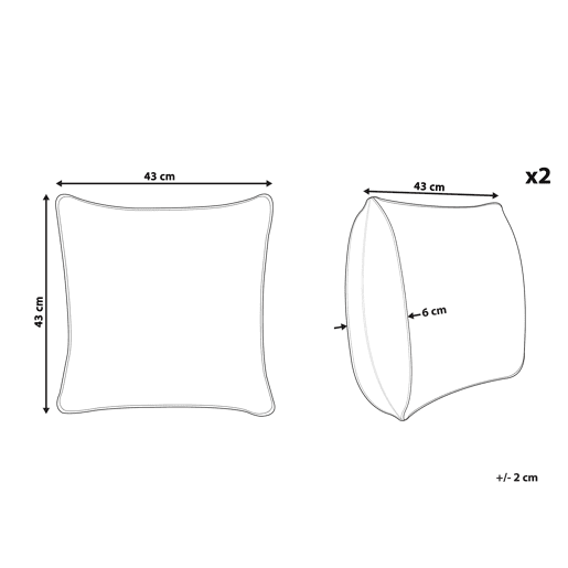 Conjunto de 2 almofadas decorativas CYNARA Algodão 43 x 43 cm Creme Às riscas