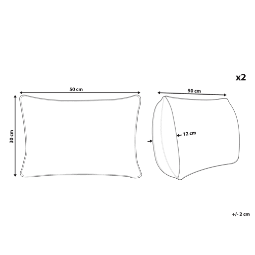 Conjunto de 2 almofadas decorativas CLUSIA 30 x 50 cm Creme