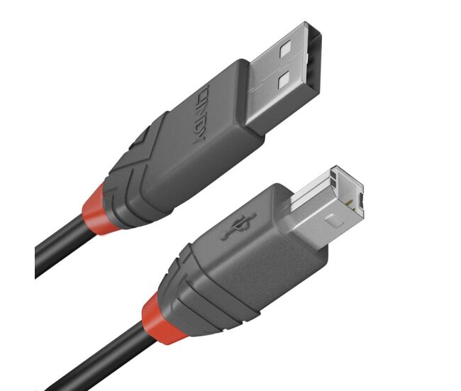 Cable usb a a usb b lindy 36677 10 m negro gris