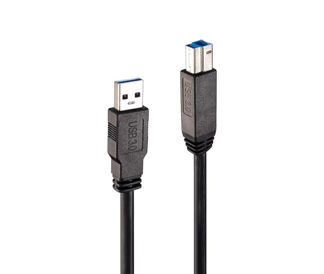 Cable usb a a usb b lindy 43098 10 m negro