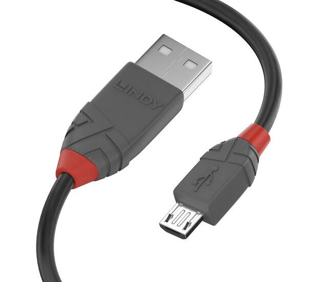 Cable usb lindy 36732 1 m negro