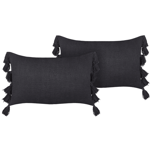 Conjunto de 2 almofadas decorativas LYTHRUM Algodão 45 x 45 cm Preto Sólido