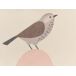 Beliani Cojín decorativo WATTLE Beliani Cojín decorativo WATTLE Beige