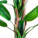 Planta artificial Banana Planta artificial Banana Verde Oscuro