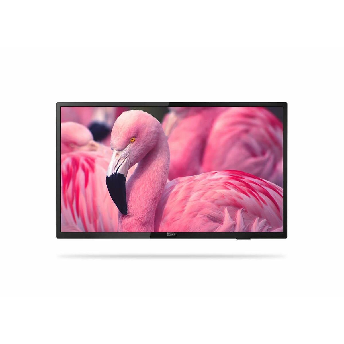 Smart TV 43HFL4014