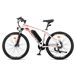 FAFREES Hailong One - Motor 250W Batería 468WH 50KM FAFREES Hailong One - Motor 250W Batería 468WH 50KM Blanco