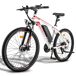 FAFREES Hailong One - Motor 250W Batería 468WH 50KM FAFREES Hailong One - Motor 250W Batería 468WH 50KM Blanco