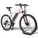 FAFREES Hailong One - Motor 250W Batería 468WH 50KM FAFREES Hailong One - Motor 250W Batería 468WH 50KM Blanco