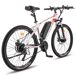 FAFREES Hailong One - Motor 250W Batería 468WH 50KM FAFREES Hailong One - Motor 250W Batería 468WH 50KM Blanco