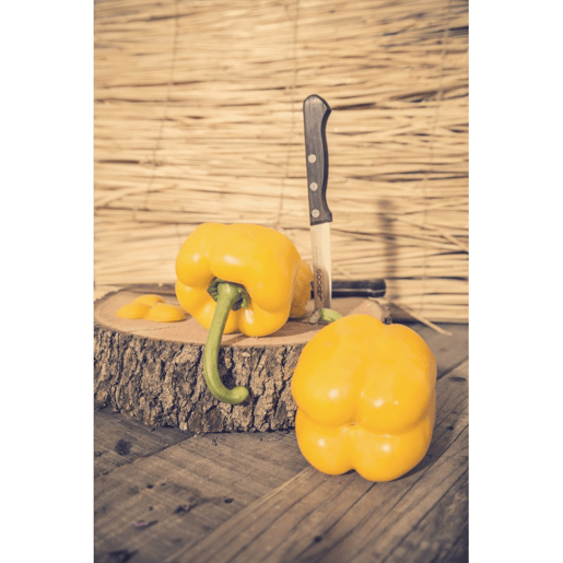 Faca para legumes com lâmina clássica de 100 mm em aço inoxidável exclusivo NITRUM.