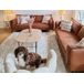 Beliani Cojín decorativo VILLUR Beliani Cojín decorativo VILLUR Beige