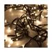Guirnalda de Luces LED AX8401020 Guirnalda de Luces LED AX8401020 Verde
