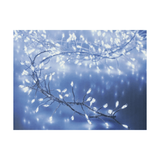 Grinalda de Luzes LED Branco 1,5 m