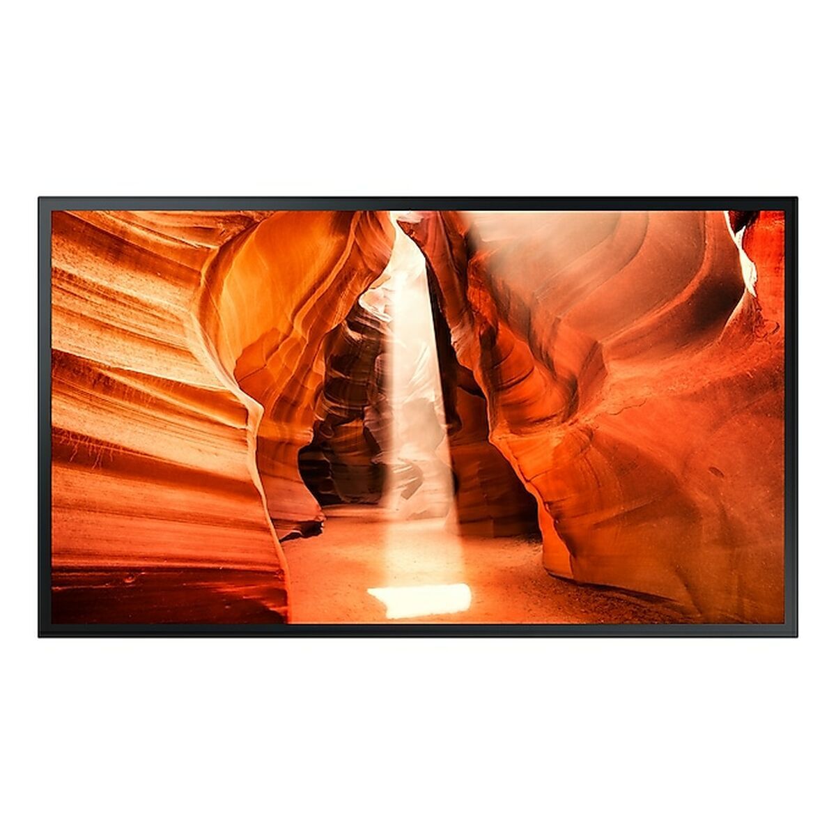 Monitor OM55N-S