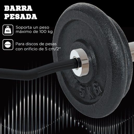 SPORTNOW Barra de Pesos de Aço 120 cm Barra Curl EZ Ø50 mm com 2 Grampos Carga 100 kg Barra Olimpica para Discos de Ø5 cm Treino em Ginásio Casa Prata e Preto