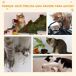 Árbol para Gato Tablero Madera Aglomerado, Felpa y Sisal PawHut Árbol para Gato Tablero Madera Aglomerado, Felpa y Sisal PawHut Crudo