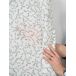 Visillo translúcido Enredadera con motivo botánico Visillo translúcido Enredadera con motivo botánico Blanco