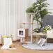 Árbol para Gato MDF, Sisal PawHut Árbol para Gato MDF, Sisal PawHut Marrón