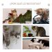 Árbol para Gato MDF, Sisal PawHut Árbol para Gato MDF, Sisal PawHut Marrón