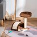 Árbol para Gato Aglomerado de Madera, Sisal y Felpa PawHut Árbol para Gato Aglomerado de Madera, Sisal y Felpa PawHut Marrón