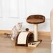 Árbol para Gato Aglomerado de Madera, Sisal y Felpa PawHut Árbol para Gato Aglomerado de Madera, Sisal y Felpa PawHut Marrón