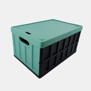 Caixa multiuso Tontarelli 46L Green e Black