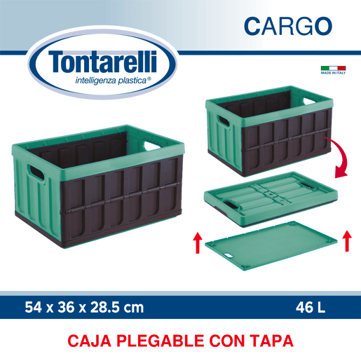 Caixa multiuso Tontarelli 46L Green e Black Caixa multiuso Tontarelli 46L Green e Black