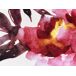Beliani Cojín de jardín LANROSSO 40x60 Beliani Cojín de jardín LANROSSO 40x60 Blanco