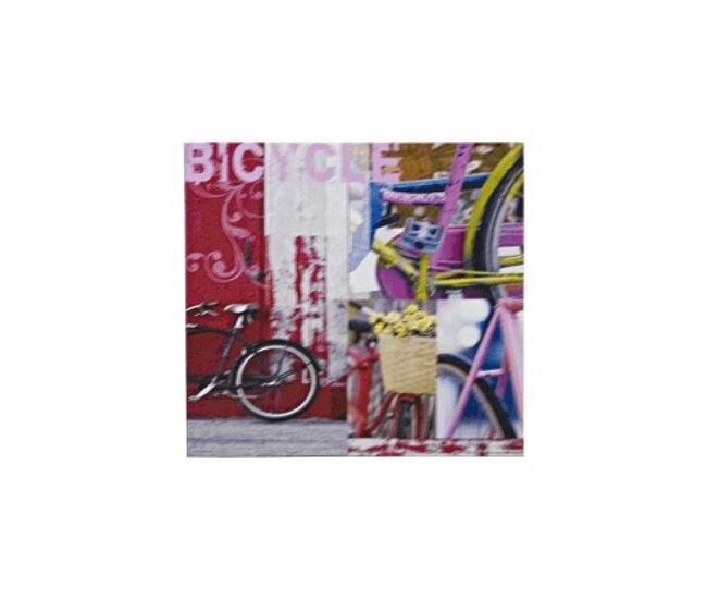 Cuadro bicicletas clye