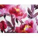 Beliani Cojín de jardín LANROSSO Beliani Cojín de jardín LANROSSO Blanco