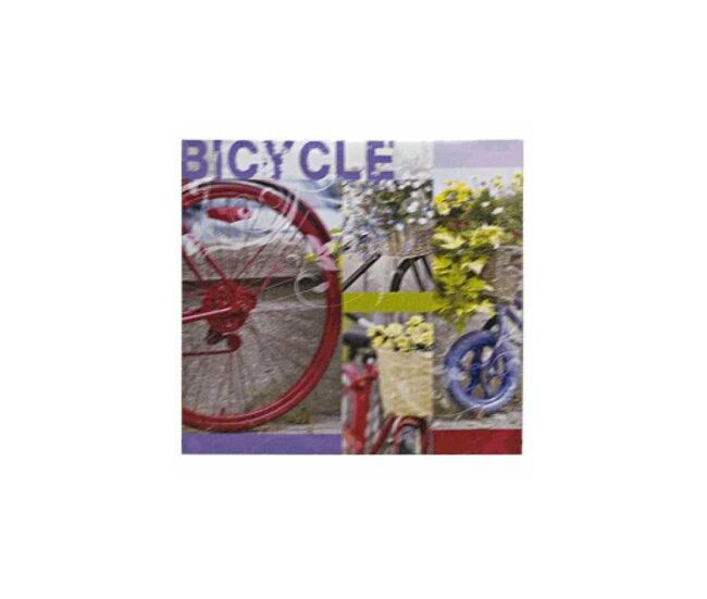 Cuadro bicicletas bic