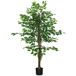 Planta Artificial PEVA HOMCOM, hogar - decoración Planta Artificial PEVA HOMCOM, hogar - decoración Verde