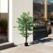 Planta Artificial PEVA HOMCOM, hogar - decoración Planta Artificial PEVA HOMCOM, hogar - decoración Verde