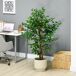 Planta Artificial PEVA HOMCOM, hogar - decoración Planta Artificial PEVA HOMCOM, hogar - decoración Verde